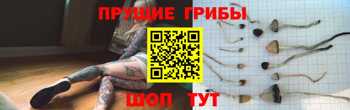 Псилоцибиновые грибы мицелий  Галлюциногенные грибы Psilocybe  Сергиев Посад  Вход с VPN 